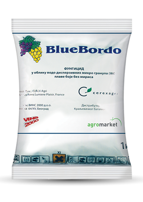 BlueBordo