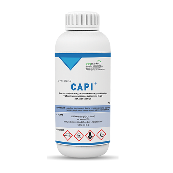 Capi