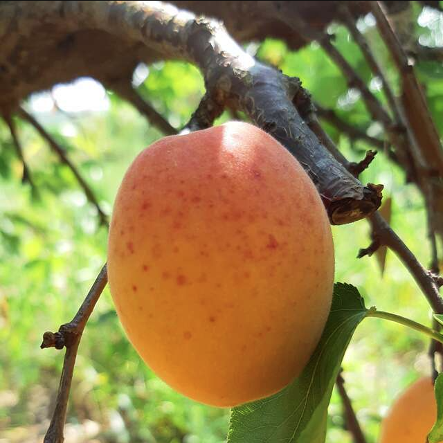 003a4e90-465c-460f-9290-d5c79b101470