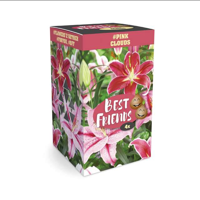 3f71f499-cf6f-4368-835a-29afdffa58c6