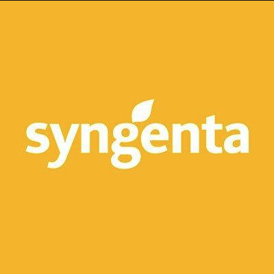 SYNGENTA  kukuruz ARIOSO (FAO 260) + FORCE