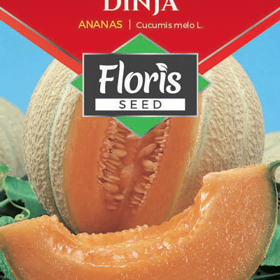 Dinja Ananas 1,5g