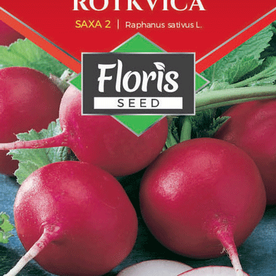Rotkvica Saxa 3g