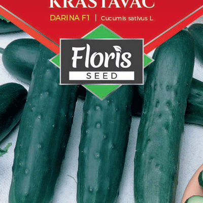 Krastavac Darina F1 0,1g