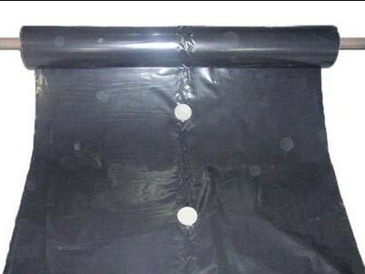 Folija malč za jagode 1m x 1000m 30 mic SIVO CRNA JEDNOREDNA 20cm