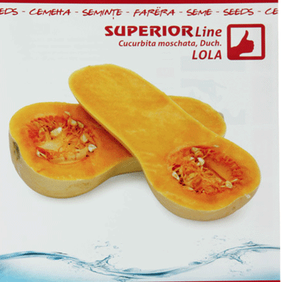 SUPERIOR Muskatna Tikva Lola 4g