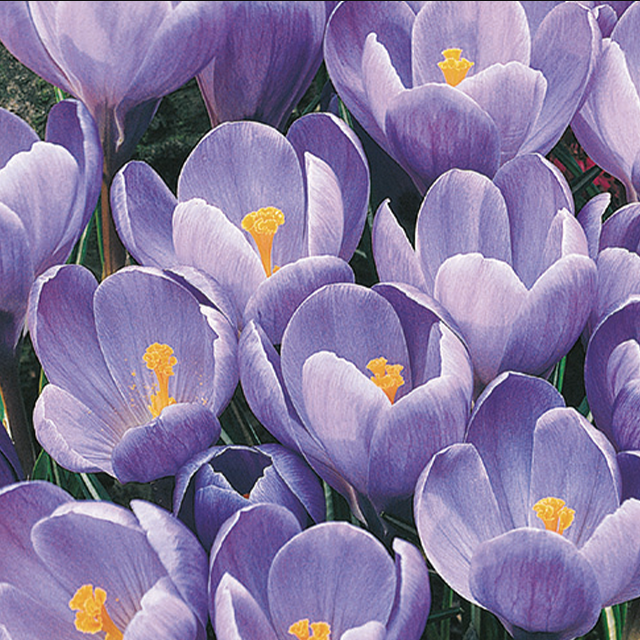 a2bd0cf2-b66b-4438-9ead-055cf6bdd50f