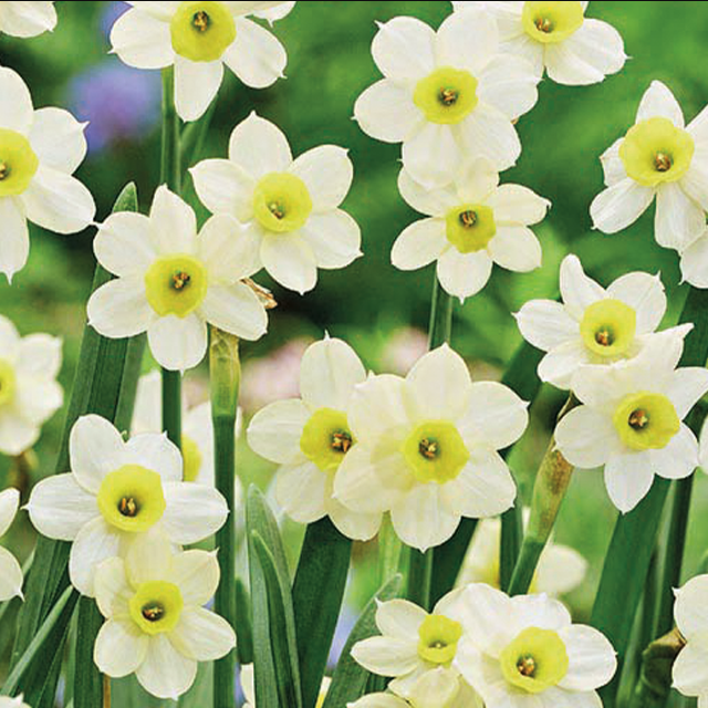 b3d52187-e2d8-400a-b1f9-6df638a29b42