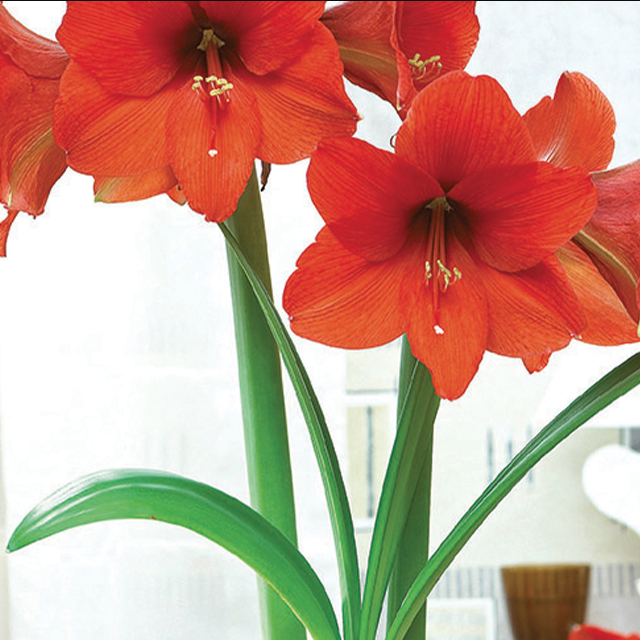 ba036dac-d8a3-4870-8f12-2ddc30837aec