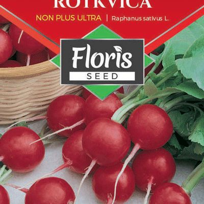 Rotkvica Non Plus Ultra 3g