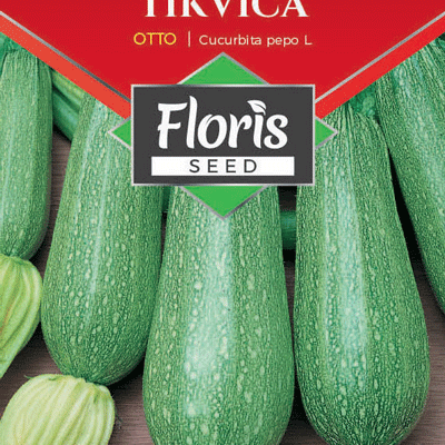Tikvica  Otto 1g