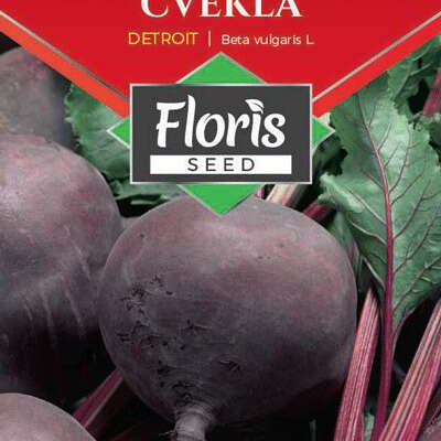 Cvekla Detroit 3g