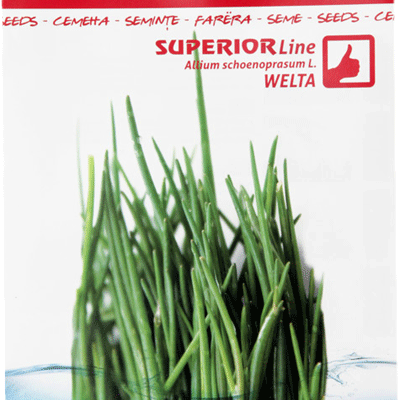 SUPERIOR Luk Vlašac 2g