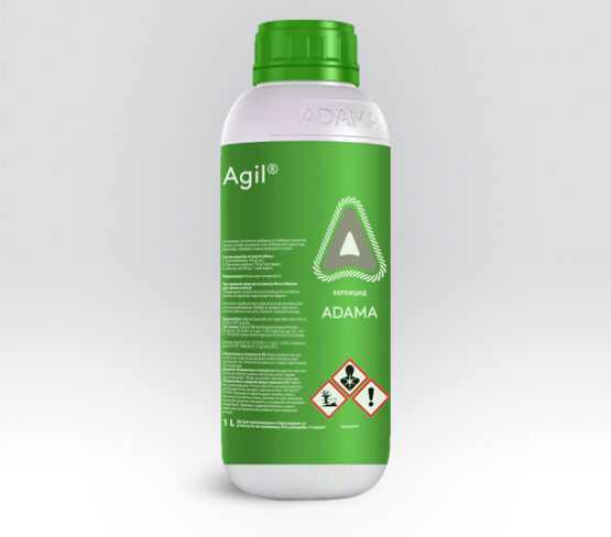 agil