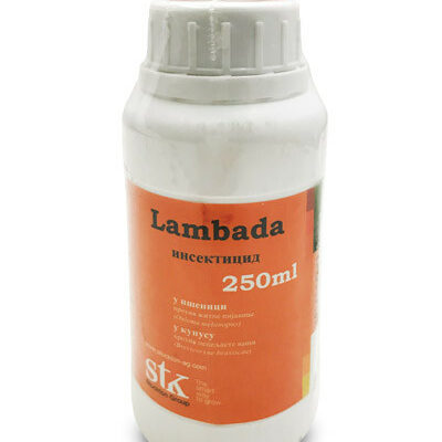 Lambada