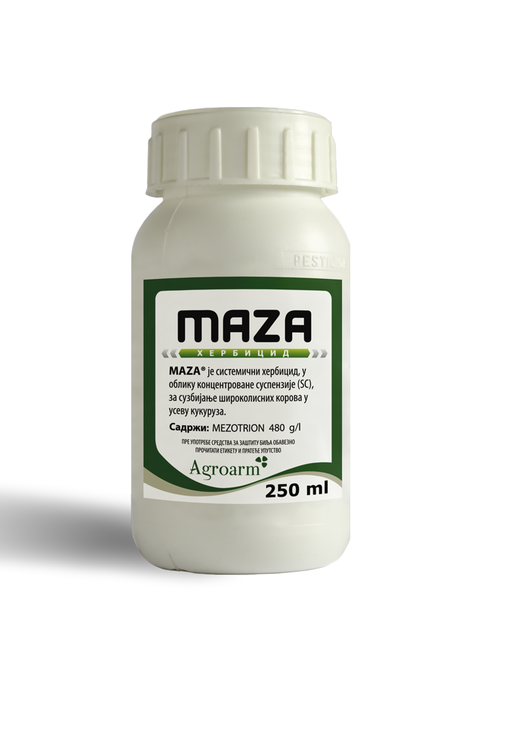 maza