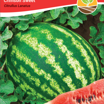 Lubenica crimson sweet 3gr