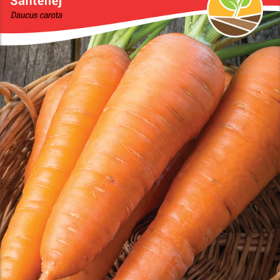Mrkva santenej 3gr