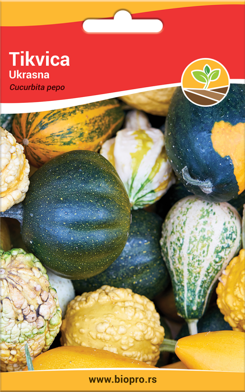 tmb-101-tikvica-ukrasna