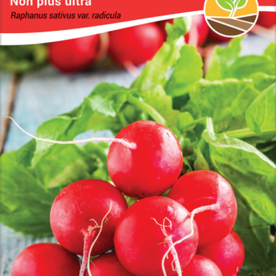 Rotkvica non plus ultra 3gr