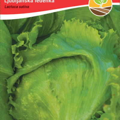 Salata ljubljanska ledenka 3gr