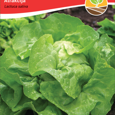 Salata atrakcija 3gr