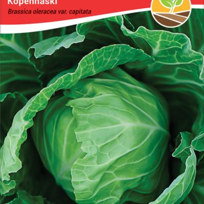 Kupus kopenhaski 2gr