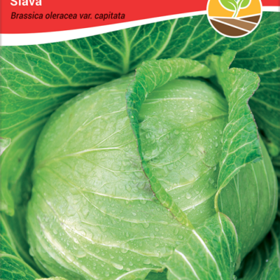 Kupus slava 2gr