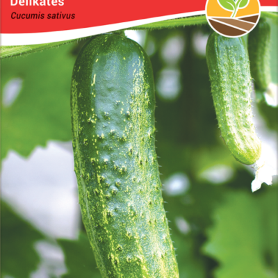 Krastavac delikates 3gr