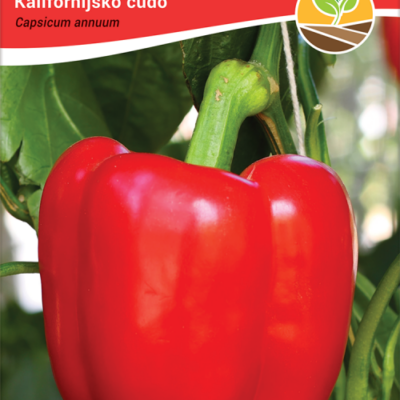 Paprika kalifornijisko cudo 2gr