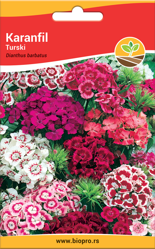 tmb-88-karanfil-turski