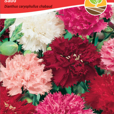 Karanfil šabo 0,5gr