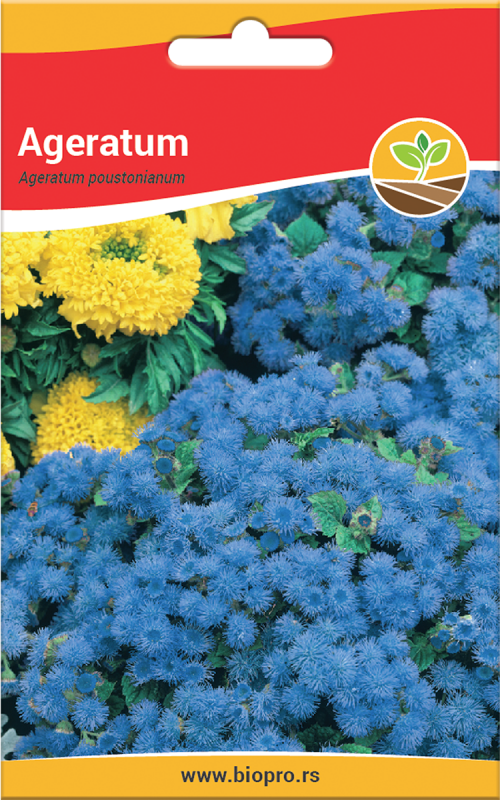tmb-ageratum
