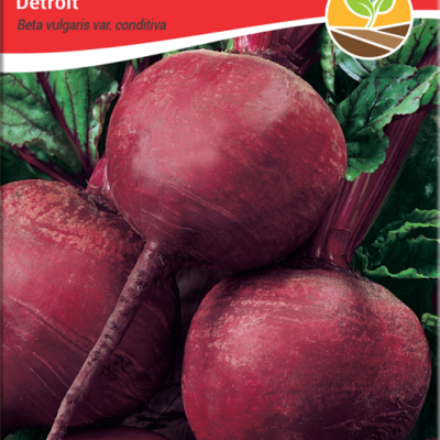 Cvekla detroit 3gr