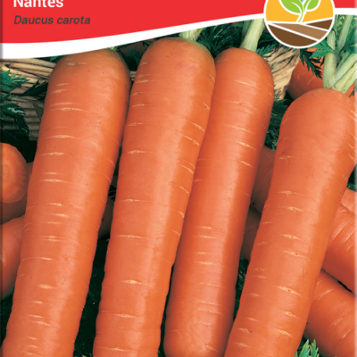 Mrkva nantes 3gr