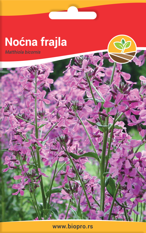 tmb-nocna-frajla-mala