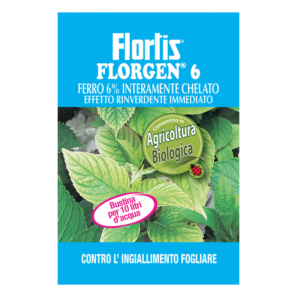 Florgen 6 slika1