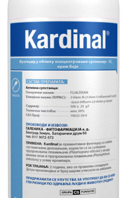 Kardinal 1l