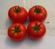 Paradajz Atabeef F1