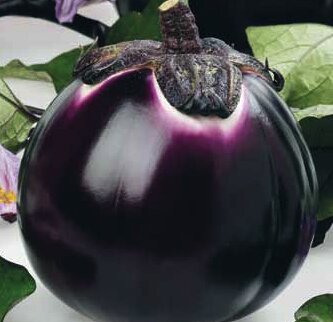 Plavi patlidzan Barbarella F1