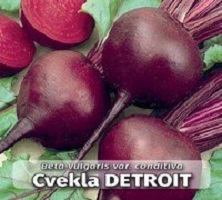 Cvekla Detroit