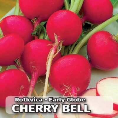 Rotkvica Cherry Belle
