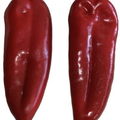 Paprika Sabljarka F1