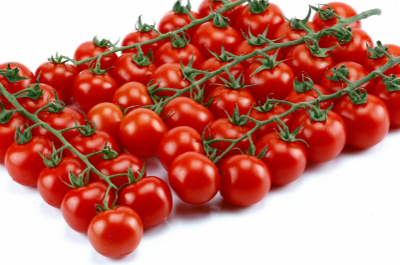 Paradajz Sicuro F1