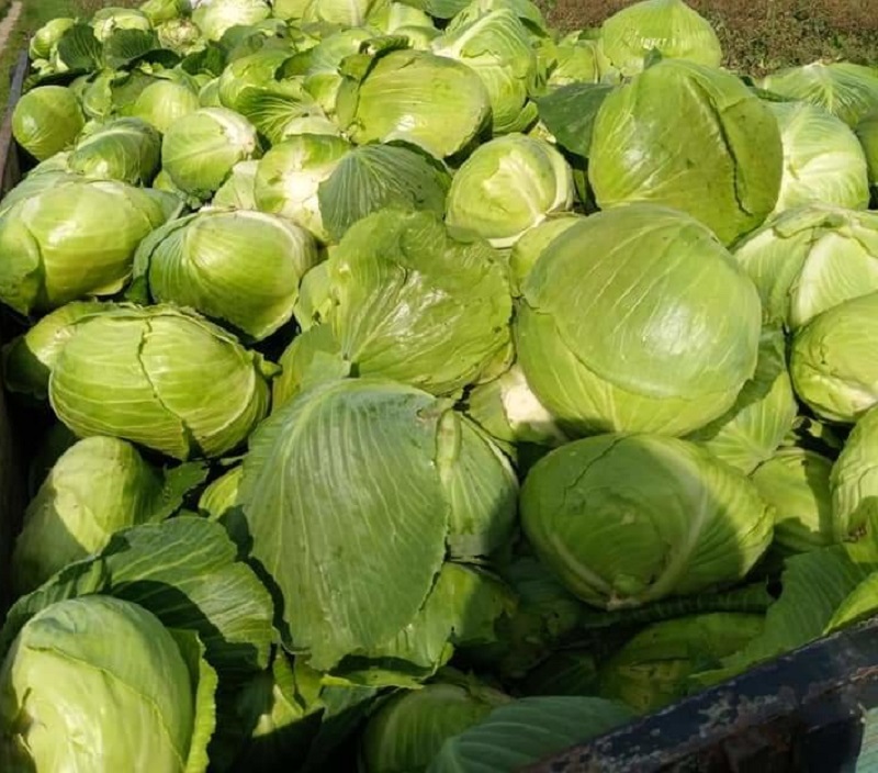 poljokomerc varazdinski