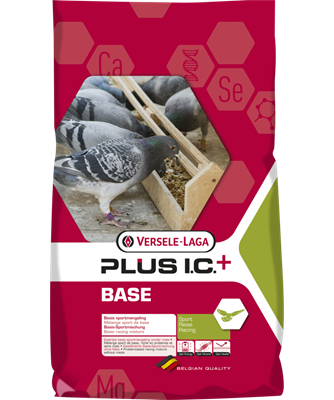 Versele laga Base plus I.C. 1kg