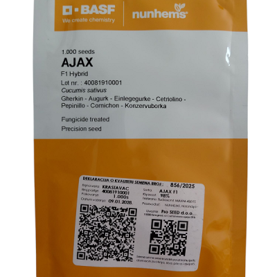 Ajax kornison 1000s