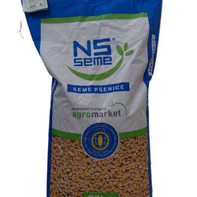 Semenska psenica NS 40S 1kg