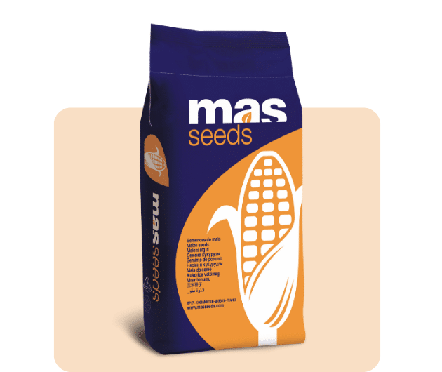 poljokomerc mas seeds hibridi kukuruza