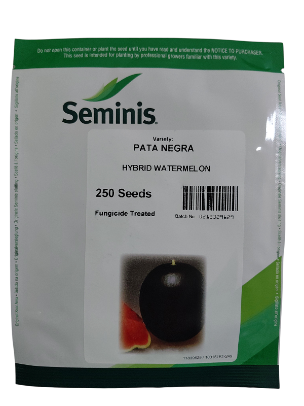 poljokomerc lubenica pata negra f1 250s